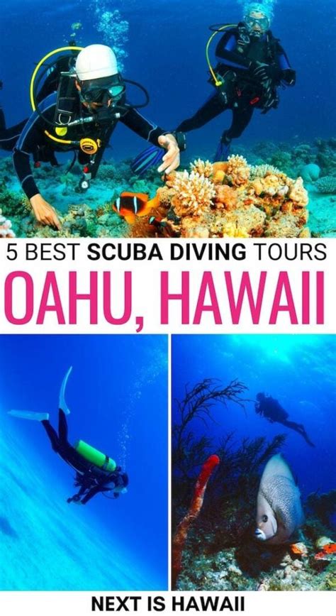 5 Best Oahu Scuba Diving Tours (+ Your Questions Answered!)