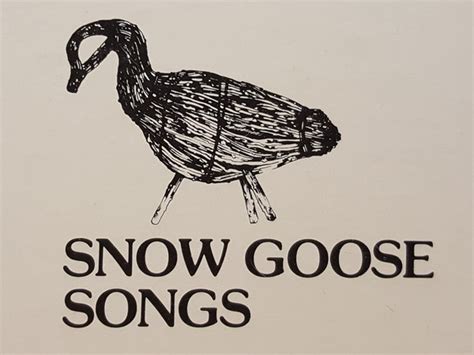 Snow Goose Songs Label | Releases | Discogs