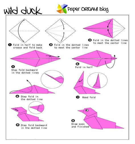 Paper Origami: A wild Duck | Paper Origami Guide