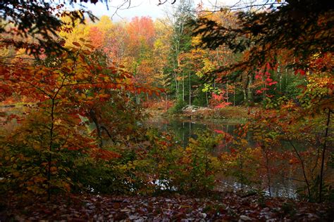 Foresters Say This Is Last Good Weekend for Leaf-Peeping | West ...