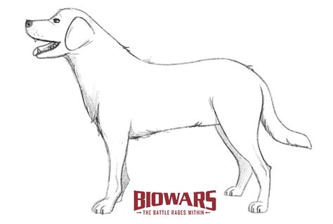 How To Draw A Dog For Beginners [Video Tutorial]