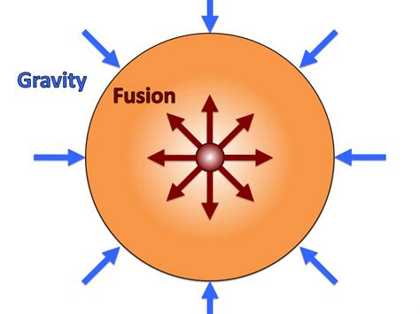 Fusion Regulation in the Sun