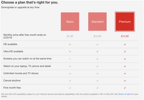 Netflix Fees 2024 - Perri Brandise