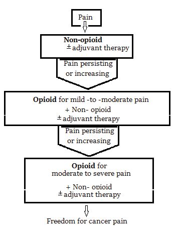 Three-step 'ladder' for pain relief by WHO | Download Scientific Diagram