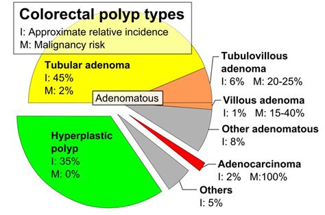 Types Of Colon Polyps Chart