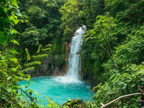 Waterfall in Tropical Forest, Blue Water. Stock Photo - Image of ...