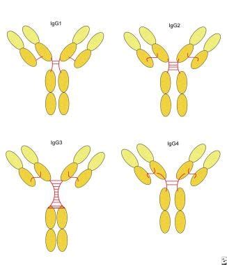 Immunoglobulin G Deficiency: Background, Pathophysiology, Epidemiology