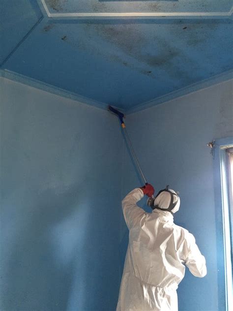 Is It Safe To Clean Black Mould Yourself? | by Mould Removal Toowoomba ...