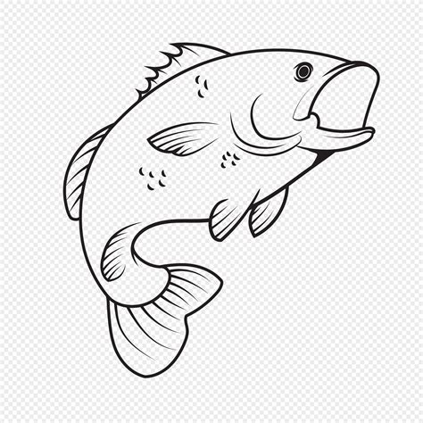 Hand drawn black and white line drawing fish vector elements png image ...