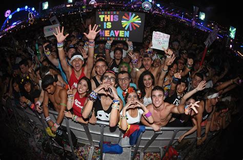 50 Best EDM Songs You've Heard at Every Summer Festival