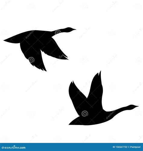 Flying Canada Geese Silhouette Stock Vector - Illustration of ...