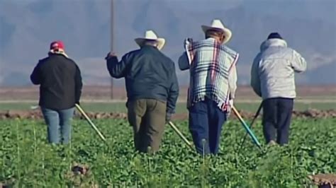 Mejorarán las condiciones de campesinos en México - YouTube