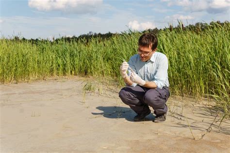 Biologist in the field stock image. Image of analysis - 21907143