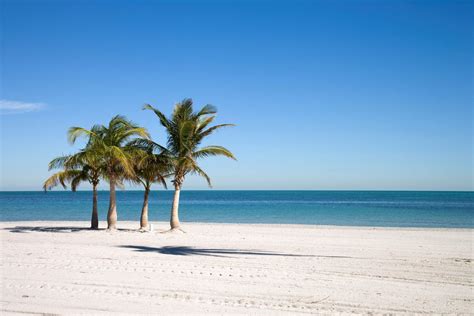 Florida Weather in March: What to Expect on Your Vacation - The Family ...