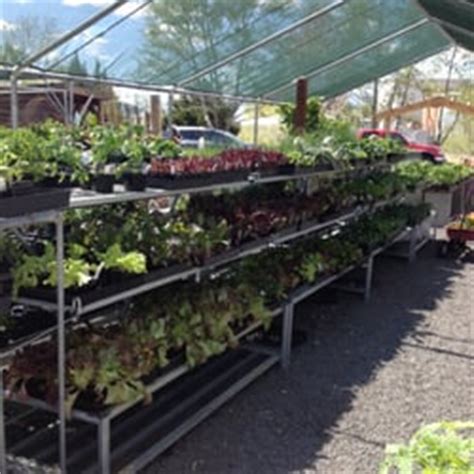 Rail City Garden Center - Nurseries & Gardening - Sparks - Sparks, NV ...