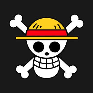 Straw Hat Pirates | Heroes Wiki | FANDOM powered by Wikia