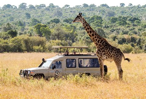 How to Book a Safari / Tour in Tanzania | Tanzania Safaris Tours