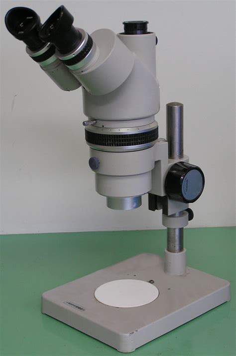 Stereo microscope - Wikipedia