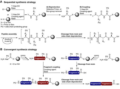 Frontiers | Recent Progress in the Chemical Synthesis of Class II and S ...