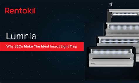 Why LEDs Make The Ideal Insect Light Trap