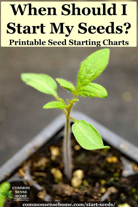 When To Start Seeds Indoors Chart