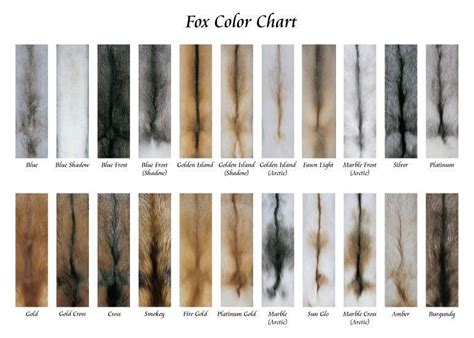 Mink colour, Color chart, Color