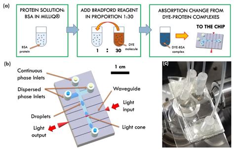 Sensors | Free Full-Text | Opto-Microfluidic Integration of the ...