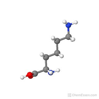 L-lysine Structure - C6H14N2O2 - Over 100 million chemical compounds ...