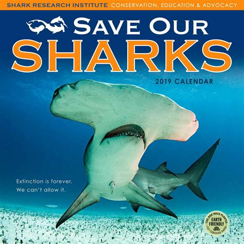 Save Our Sharks 2019 Wall Calendar: Shark Research Institute ...