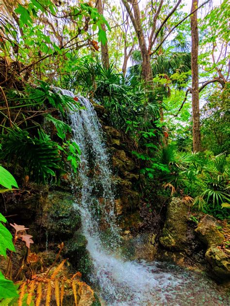 Lush Waterfall Garden at Rainbow Springs State Park 4 - 2 Travel Dads