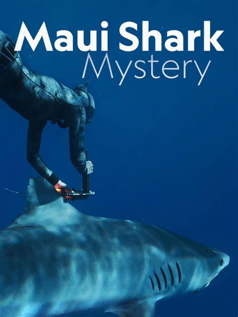 Maui Shark Mystery (TV Special 2022) - IMDb