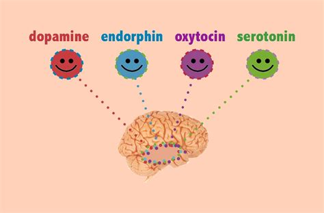 Serotonin And Dopamine Happiness