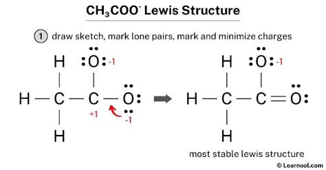 CH3COO- Lewis structure - Learnool