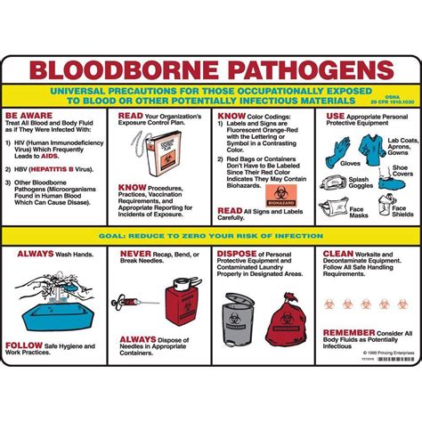 Printable Bloodborne Pathogens Poster - Printable Word Searches