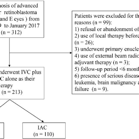 (PDF) Evaluating primary intra-arterial chemotherapy versus intravenous ...