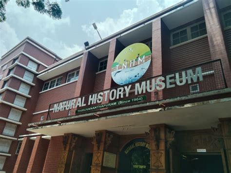 Museums of Trivandrum (Part -1) - HubPages