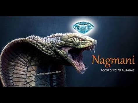 Do you know about The snake stone (nagamani🐍🐍🐍 ) - YouTube