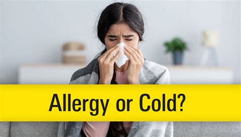 Allergy or Cold