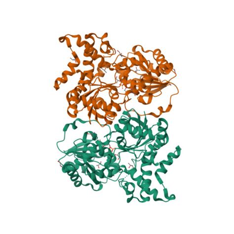 RCSB PDB - 7YP6: Crystal structure of elaiophylin glycosyltransferase ...