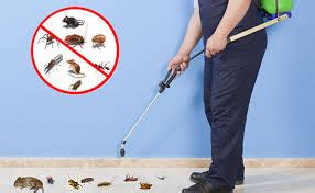 Bed Bug Fumigation Services In Lagos Nigerian Call +2348028525510 ...