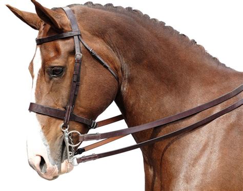 What Kind Of Bridles Are There - Best Horse Gears