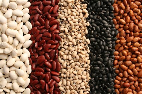 Types of Beans to Meet Your Protein Needs | Best Health Canada