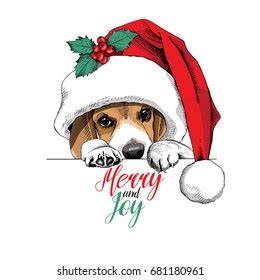 Christmas Beagle Images, Stock Photos & Vectors | Shutterstock