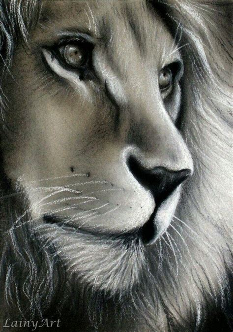 #Leão - #Lion - Ilustração | Animal drawings, Lion art, Animal art