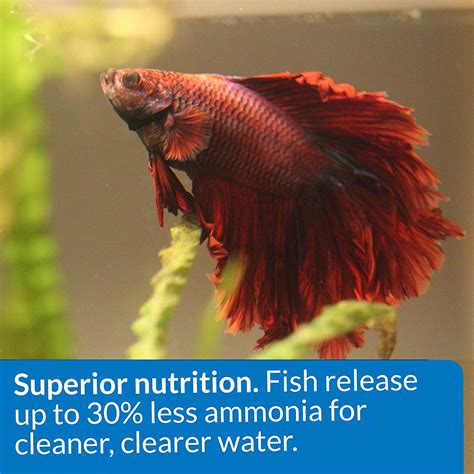 API Betta Food Floating Pellets for Betta Fish .78 Ounces