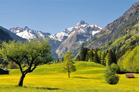 Oberstdorf im Sommer – Annemarie Ferienappartements