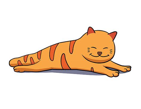 Royalty Free Lazy Cat Clip Art, Vector Images & Illustrations - iStock