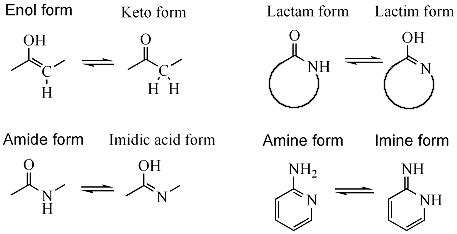 World of Biochemistry (blog about biochemistry): Tautomers