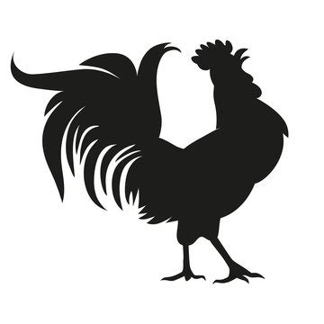 Rooster Silhouette