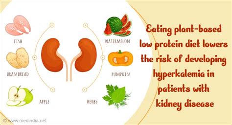 Plant-Based Diet is Not Linked to Hyperkalemia in CKD Patients